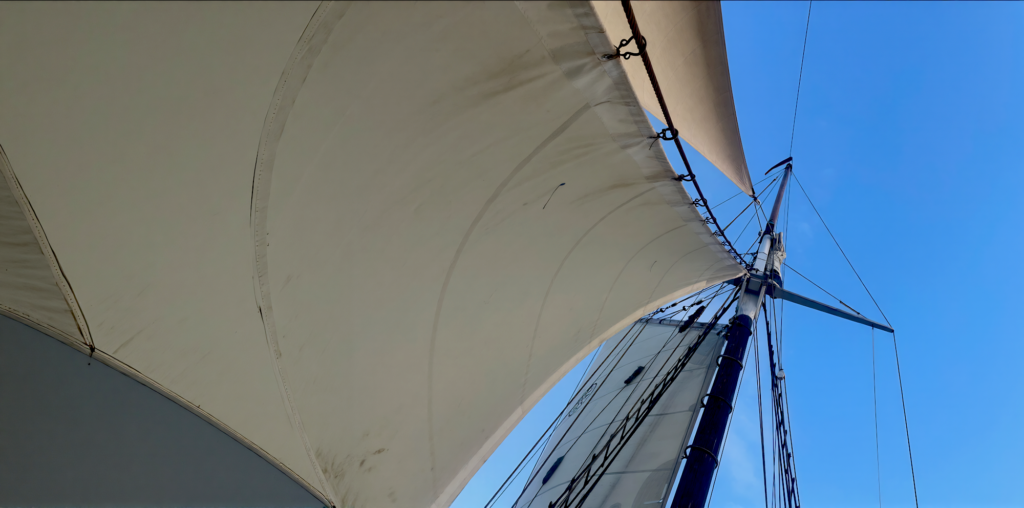Sail and a clear blue sky